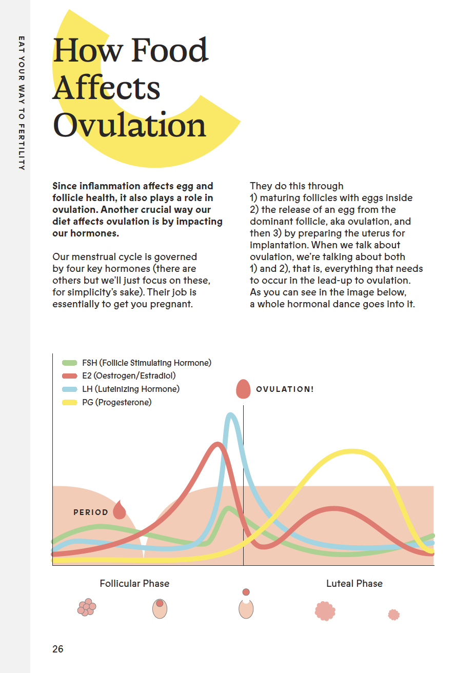 How Food Affects Ovulation page with a chart of hormones across the menstrual cycle